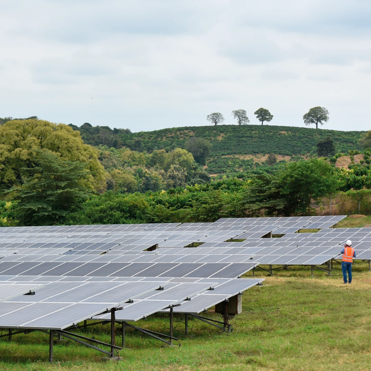 PLANTA DE GENERACION SOLAR – ELECTROECUATORIANOS